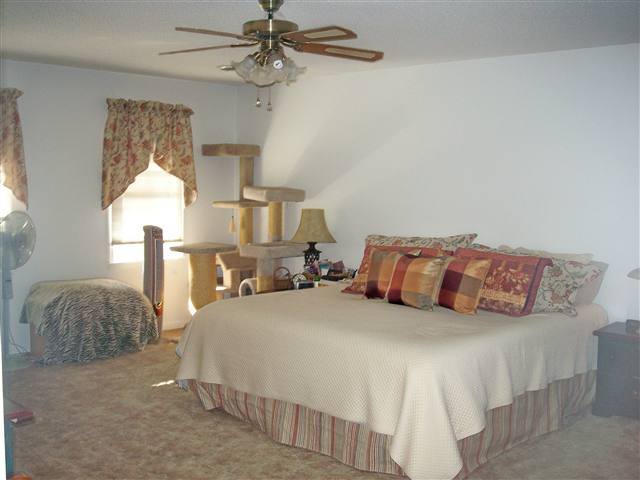 200 State Rd S-42-4257 Chesnee, SC 29323 - Photo 12 of 24 Gallery Image 12