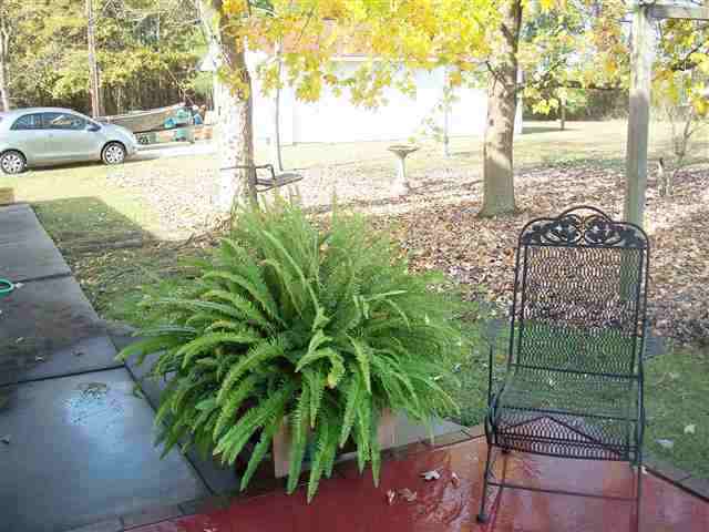 200 State Rd S-42-4257 Chesnee, SC 29323 - Photo 17 of 24 Gallery Image 17