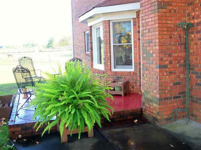200 State Rd S-42-4257 Chesnee, SC 29323 - Photo 19 of 24 Gallery Image 19