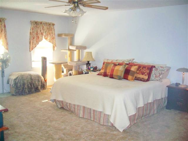 200 State Rd S-42-4257 Chesnee, SC 29323 - Photo 10 of 24 Gallery Image 10