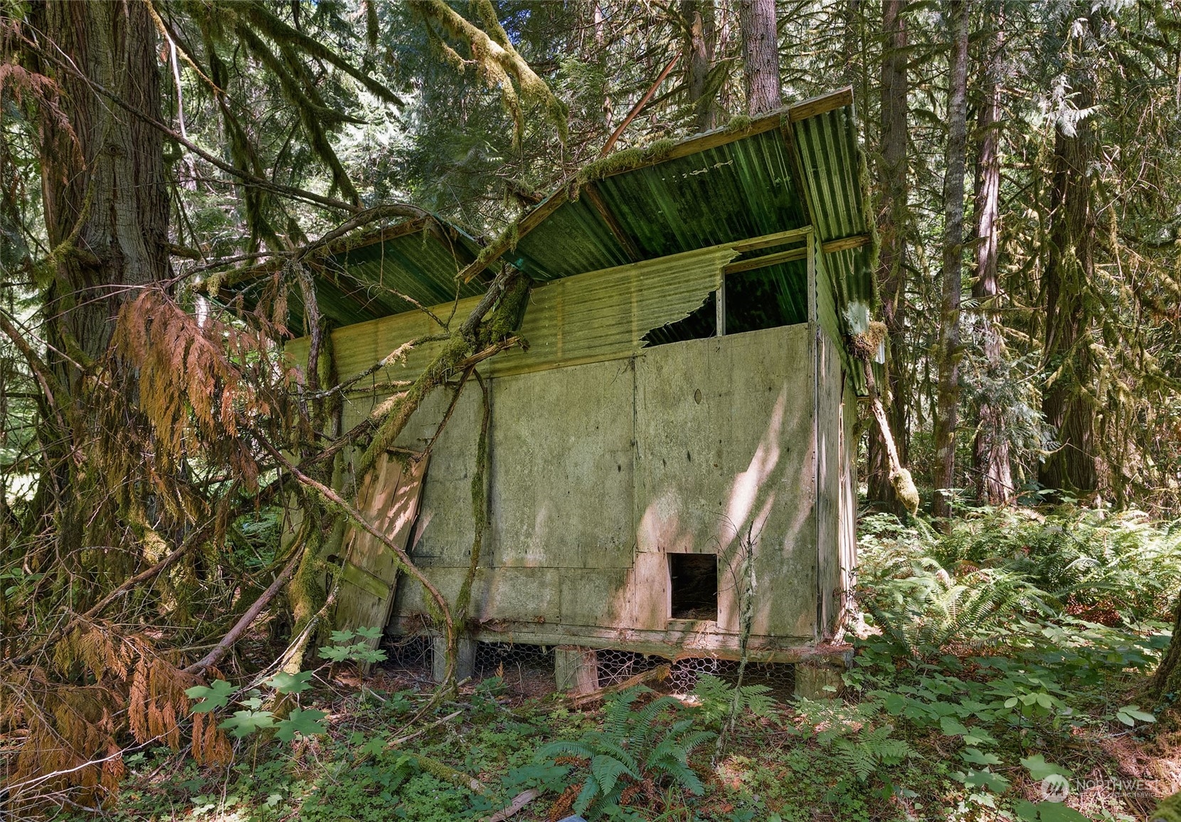 969 Silverbrook Road Randle, WA 98377 - Photo 12 of 25 Gallery Image 12