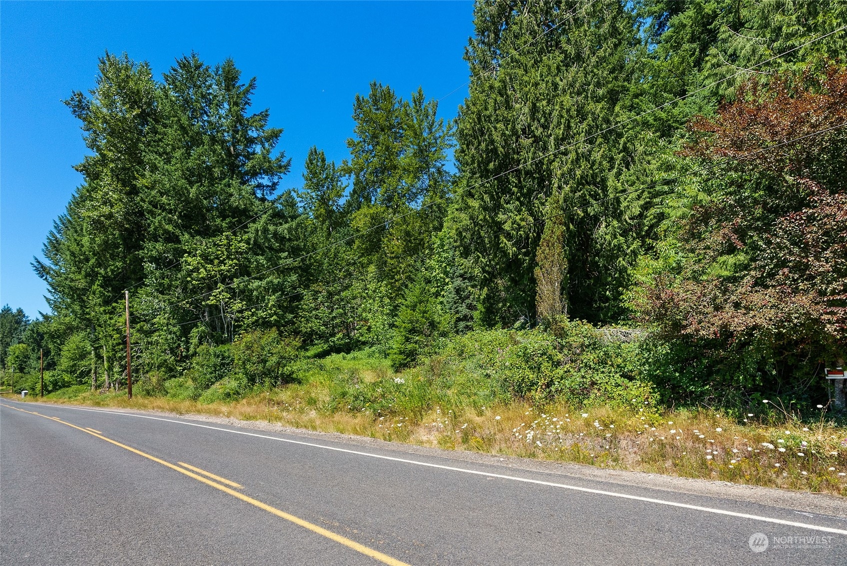 969 Silverbrook Road Randle, WA 98377 - Photo 13 of 25 Gallery Image 13
