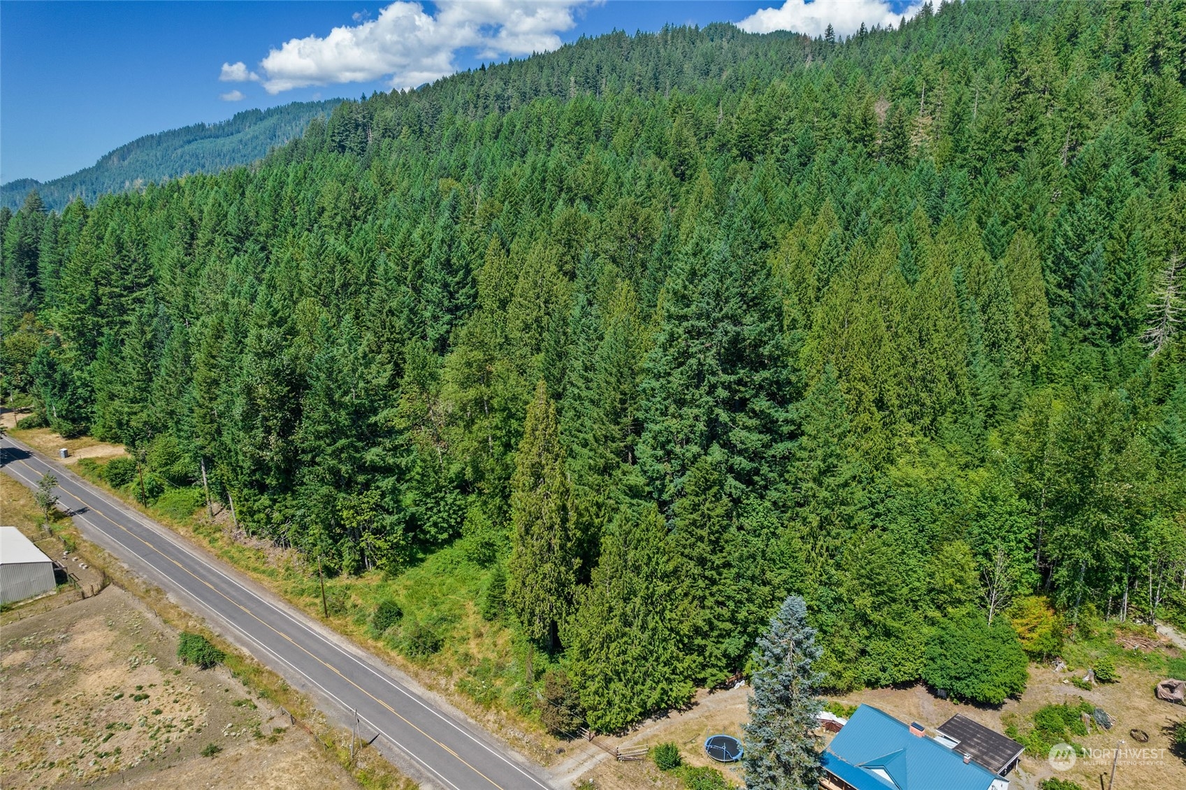 969 Silverbrook Road Randle, WA 98377 - Photo 14 of 25 Gallery Image 14