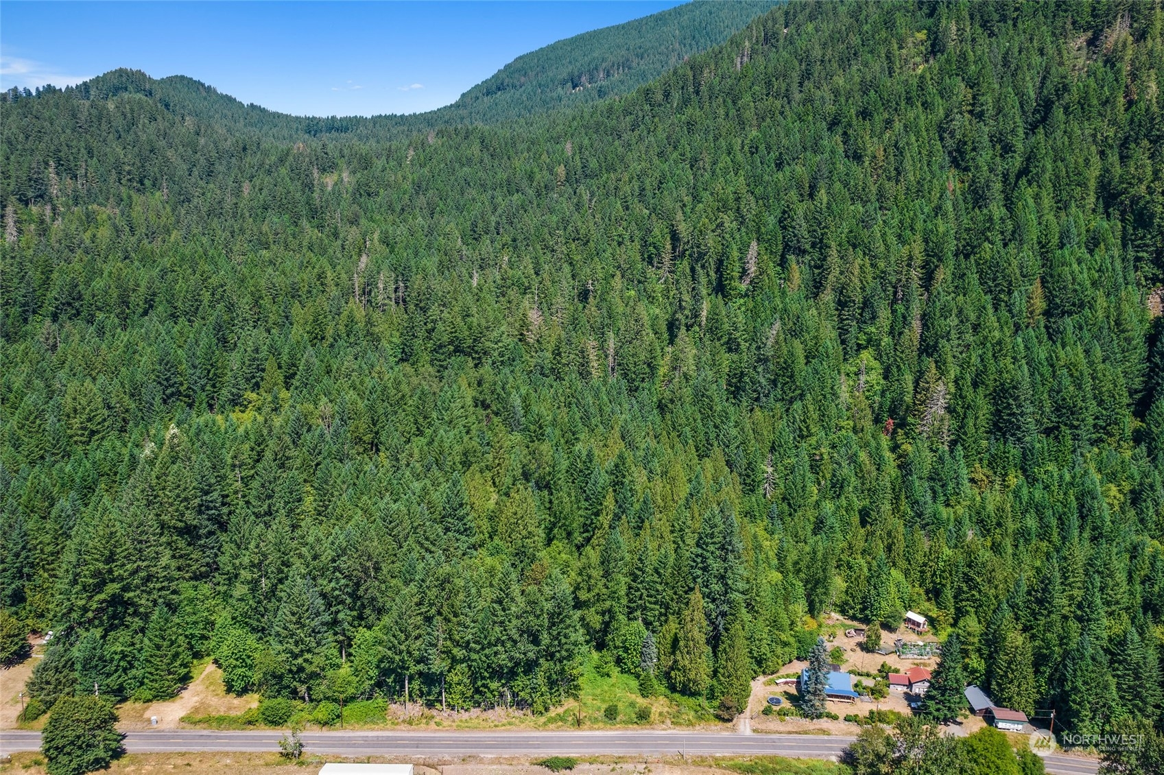 969 Silverbrook Road Randle, WA 98377 - Photo 15 of 25 Gallery Image 15