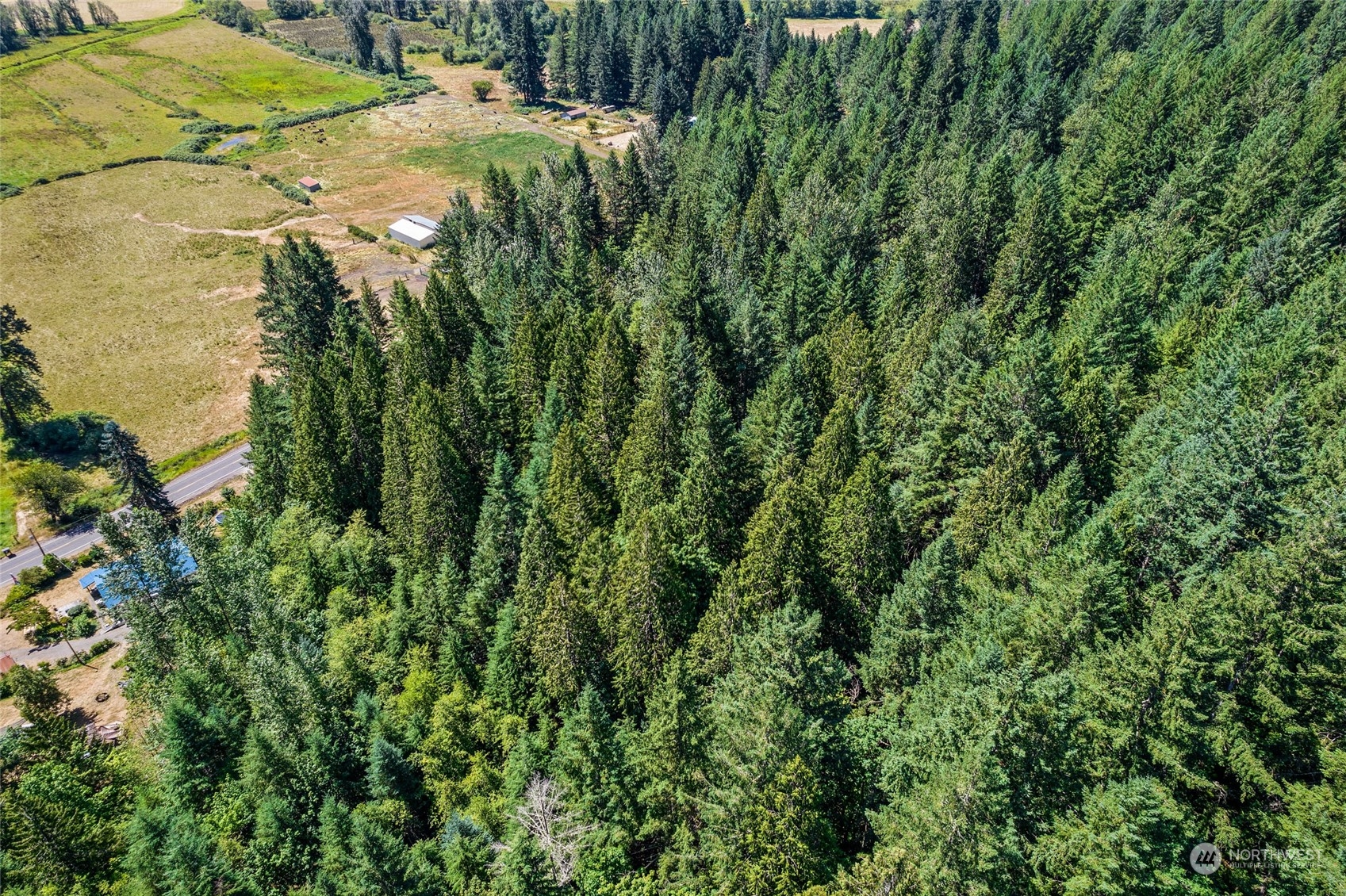 969 Silverbrook Road Randle, WA 98377 - Photo 17 of 25 Gallery Image 17