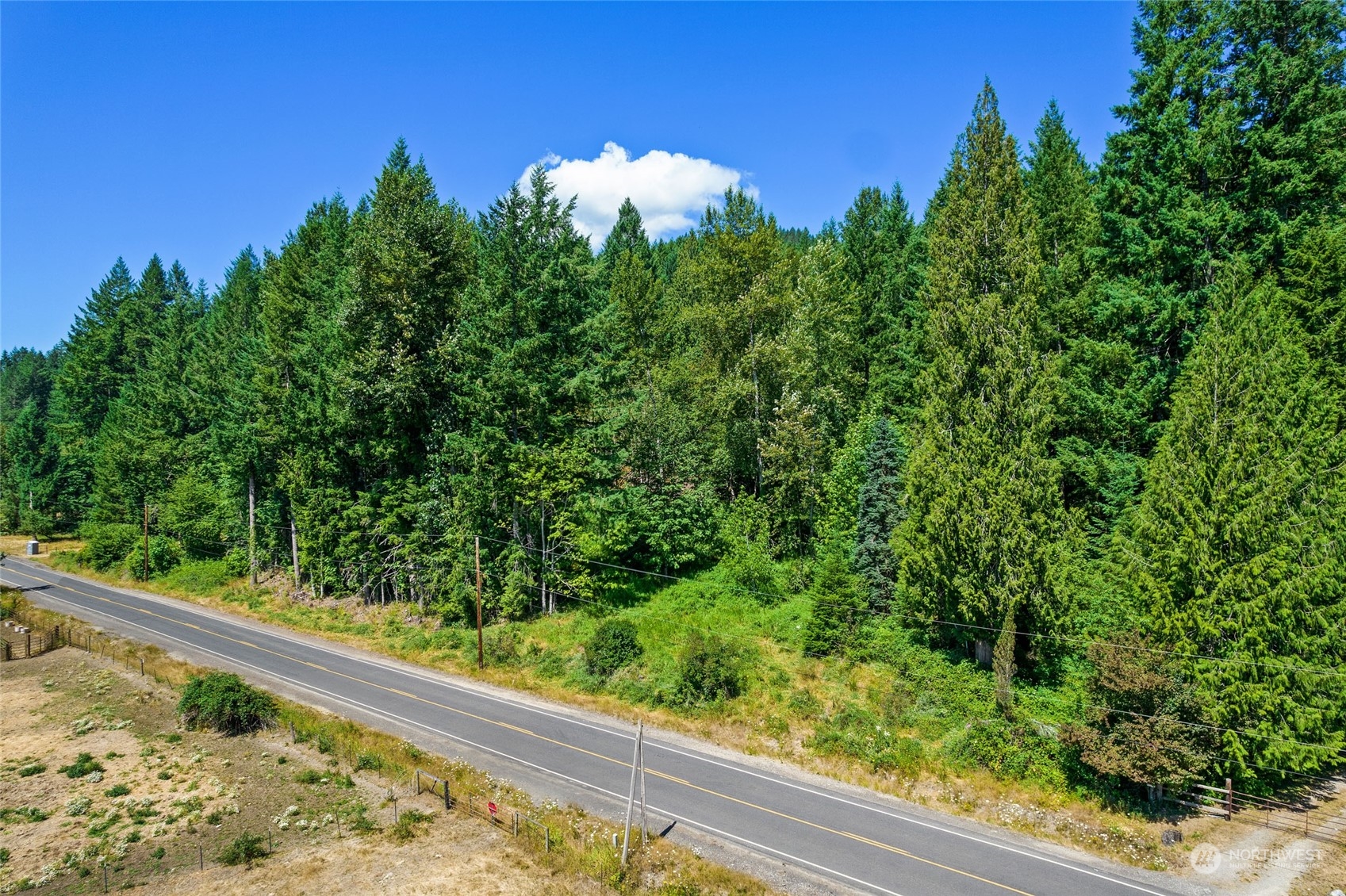 969 Silverbrook Road Randle, WA 98377 - Photo 20 of 25 Gallery Image 20