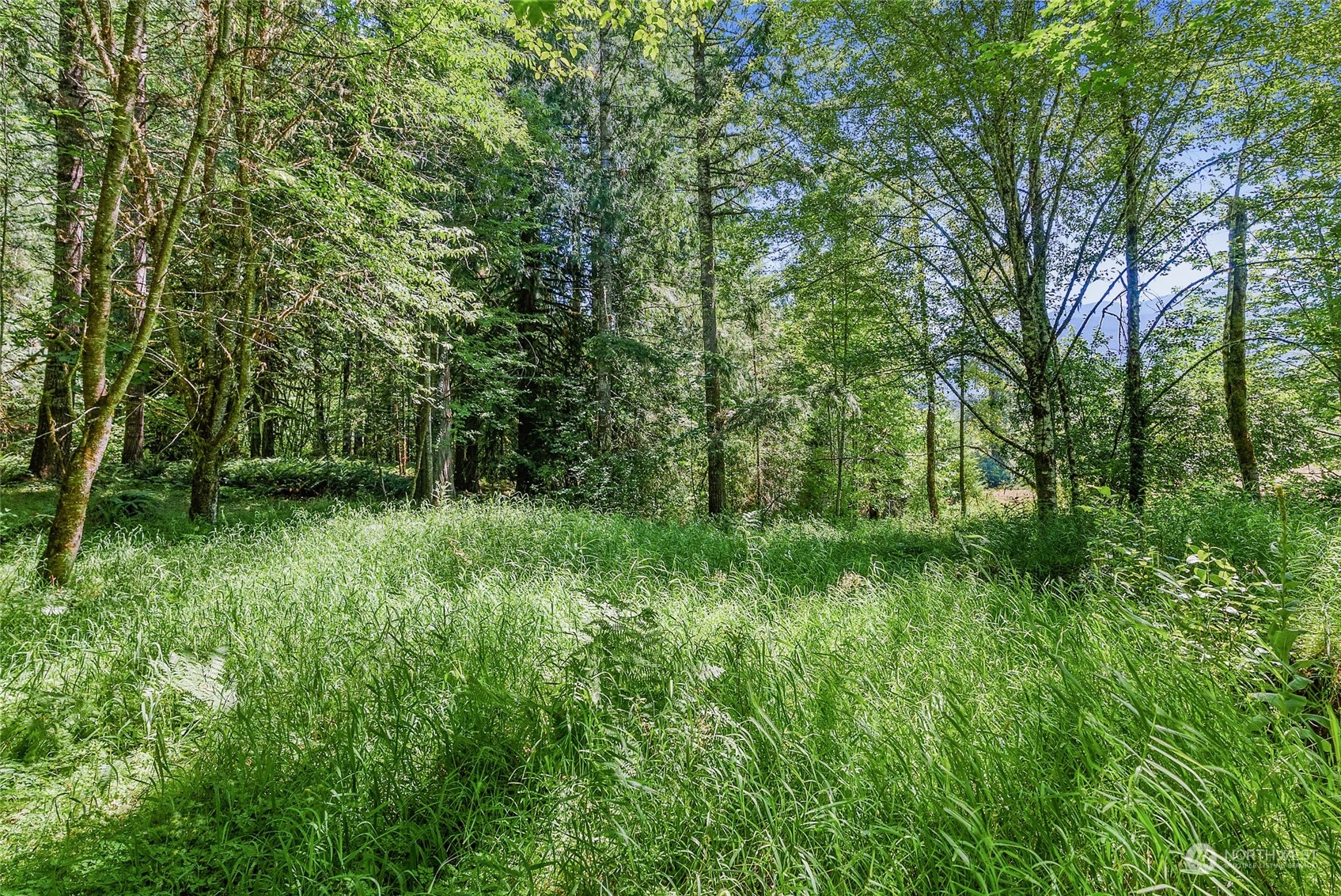 969 Silverbrook Road Randle, WA 98377 - Photo 8 of 25 Gallery Image 8