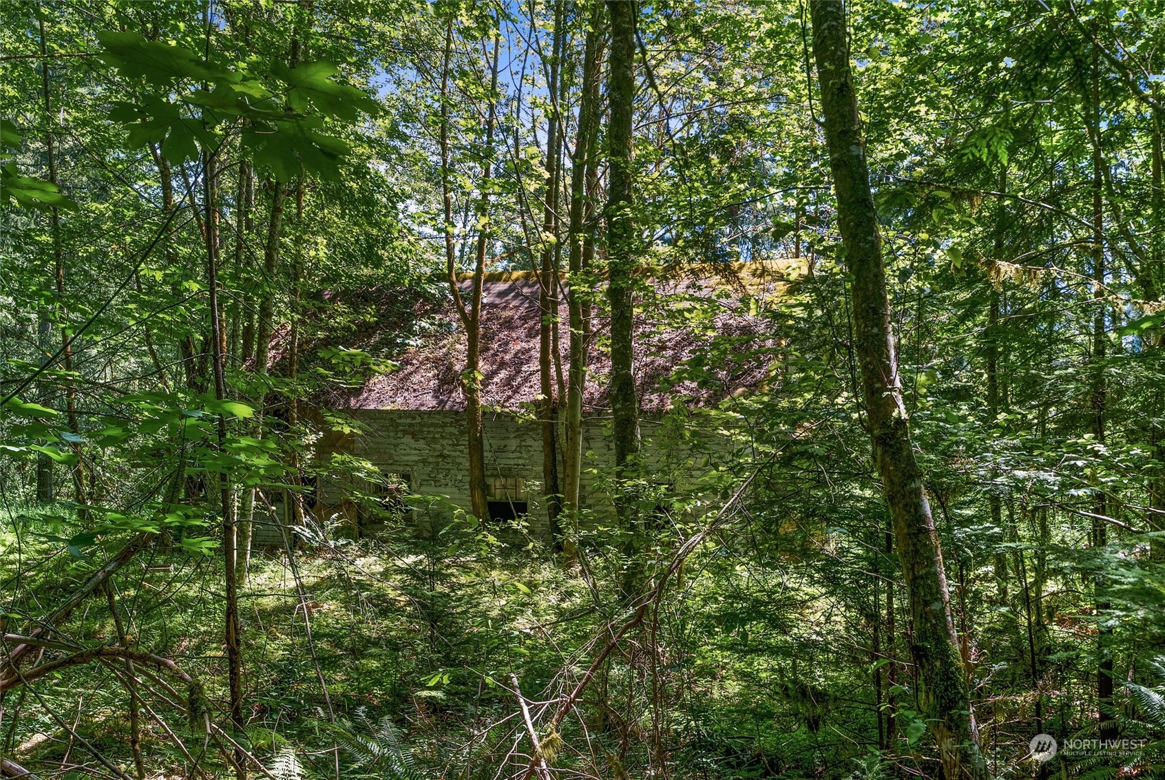 969 Silverbrook Road Randle, WA 98377 - Photo 9 of 25 Gallery Image 9