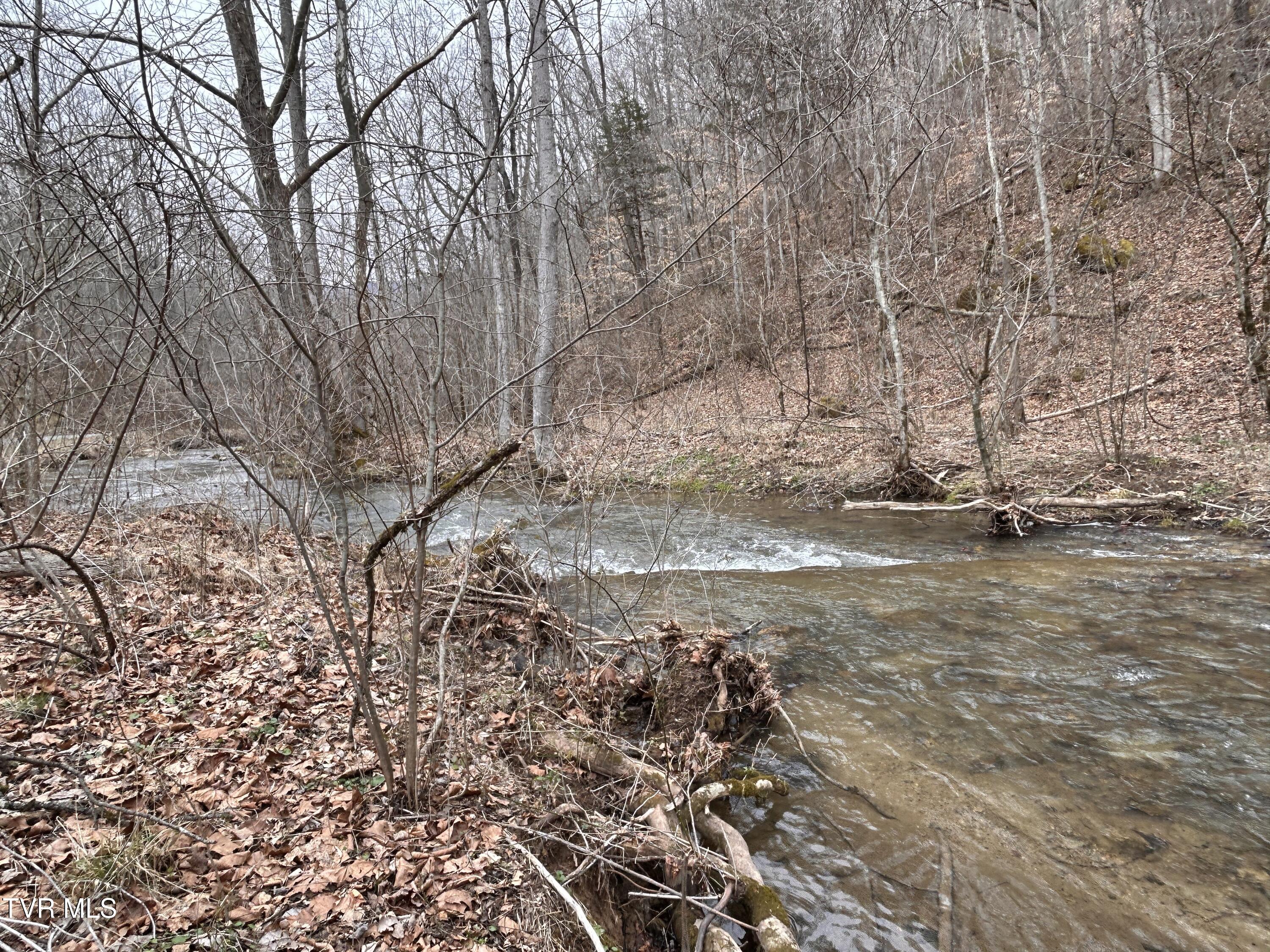 Tbd Toole Creek Road Abingdon, VA 24210 - Photo 23 of 25 *
