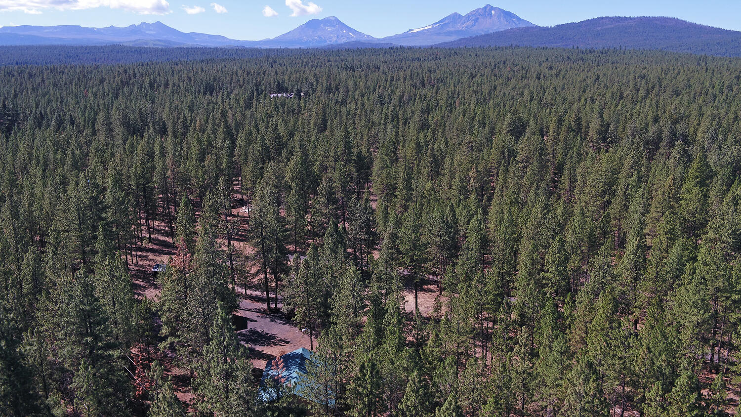 10.09 Acres with 8 Acres in Forest Tax Deferal