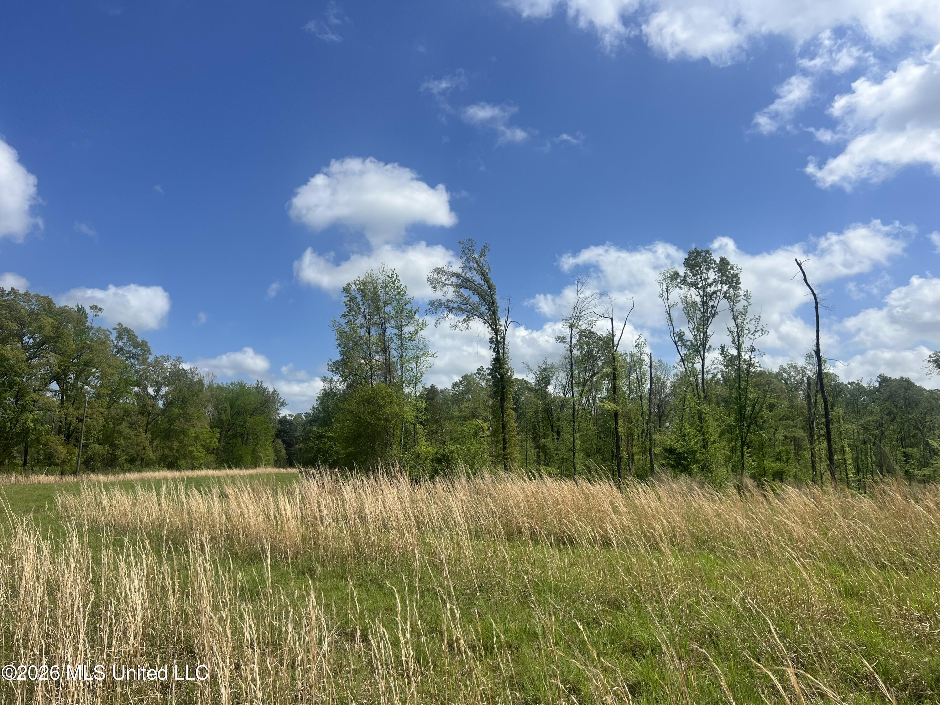 0 Stevens Road Yazoo City, MS 39194 - Photo 2 of 8 IMG_0944