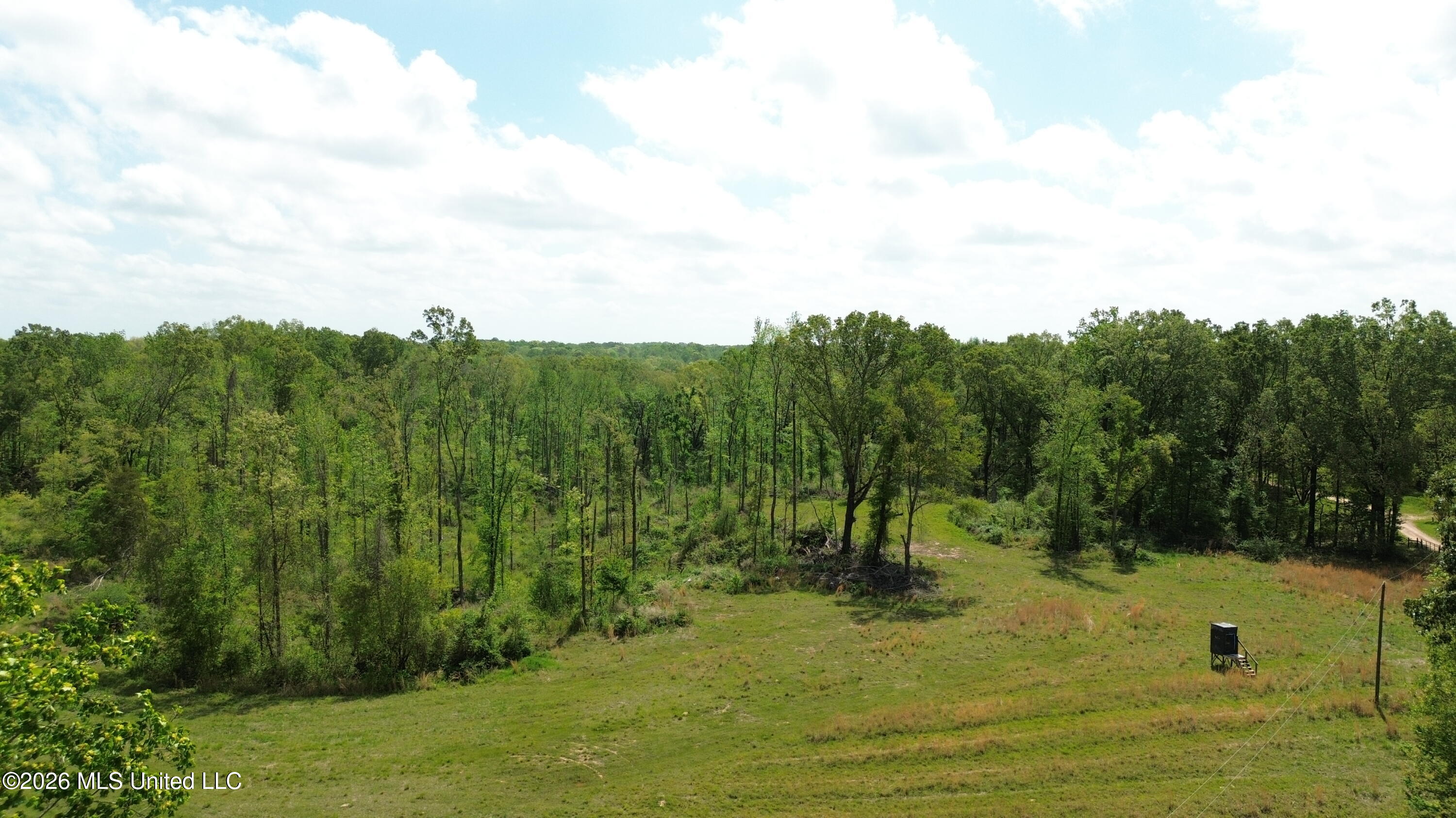 0 Stevens Road Yazoo City, MS 39194 - Photo 3 of 8 DJI_0602