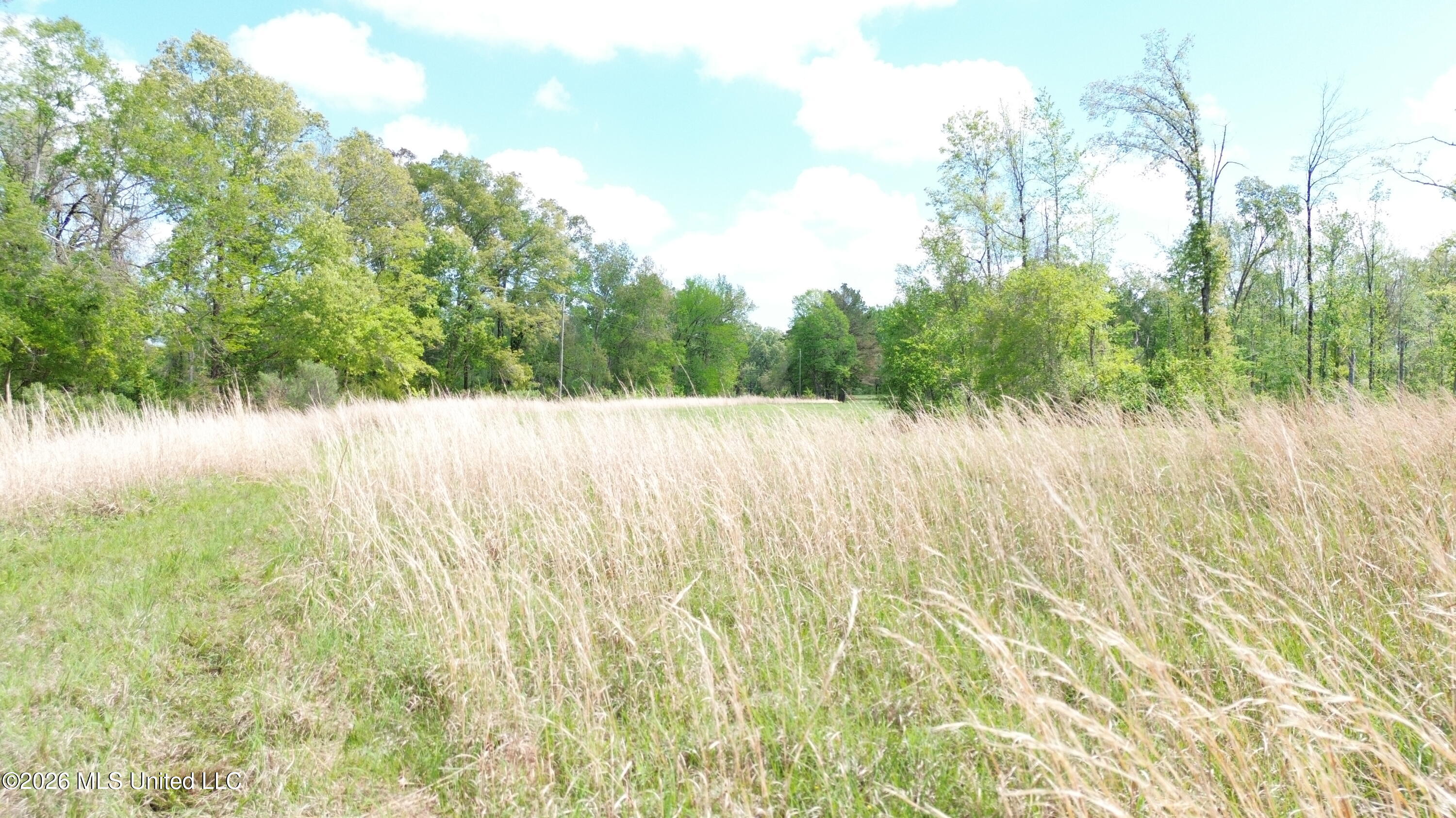 0 Stevens Road Yazoo City, MS 39194 - Photo 4 of 8 DJI_0598