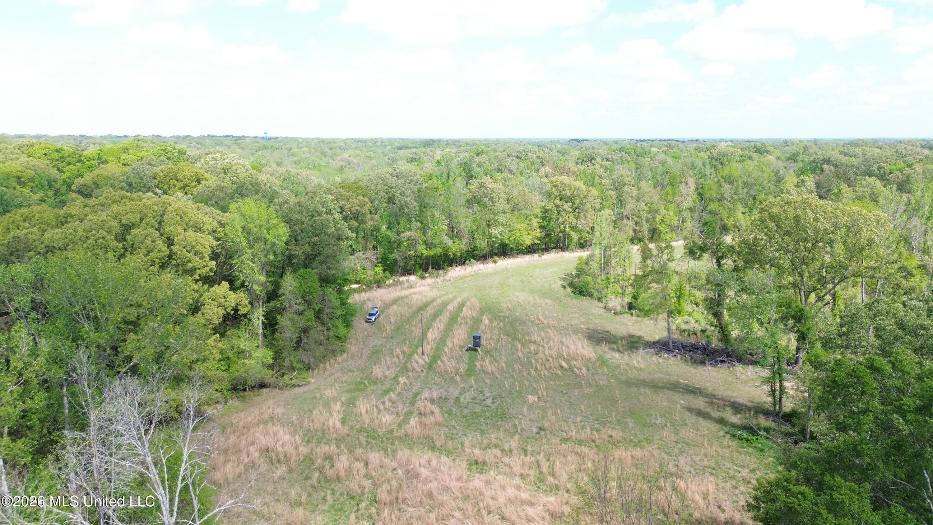 0 Stevens Road Yazoo City, MS 39194 - Photo 5 of 8 DJI_0603