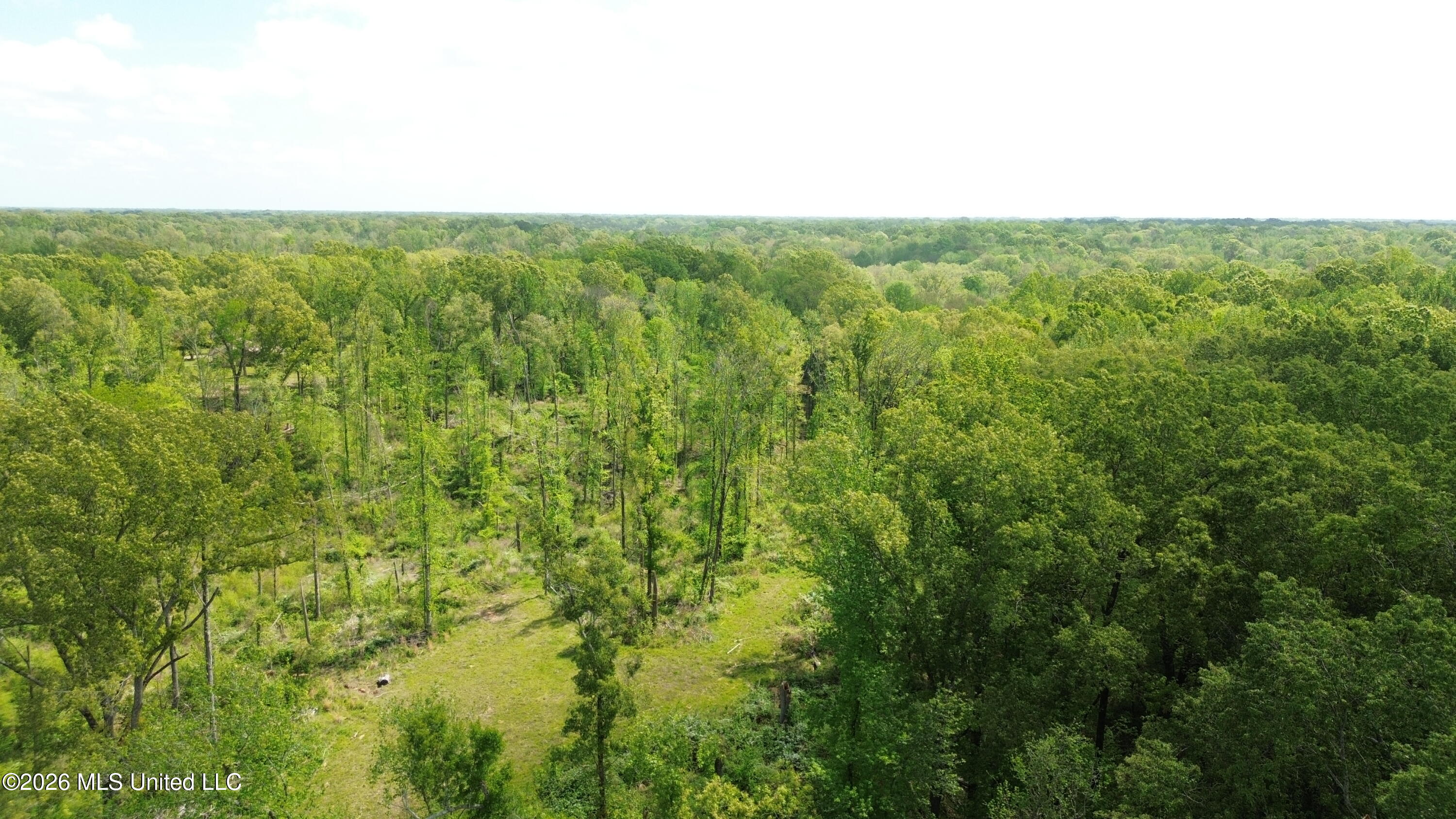 0 Stevens Road Yazoo City, MS 39194 - Photo 6 of 8 DJI_0604
