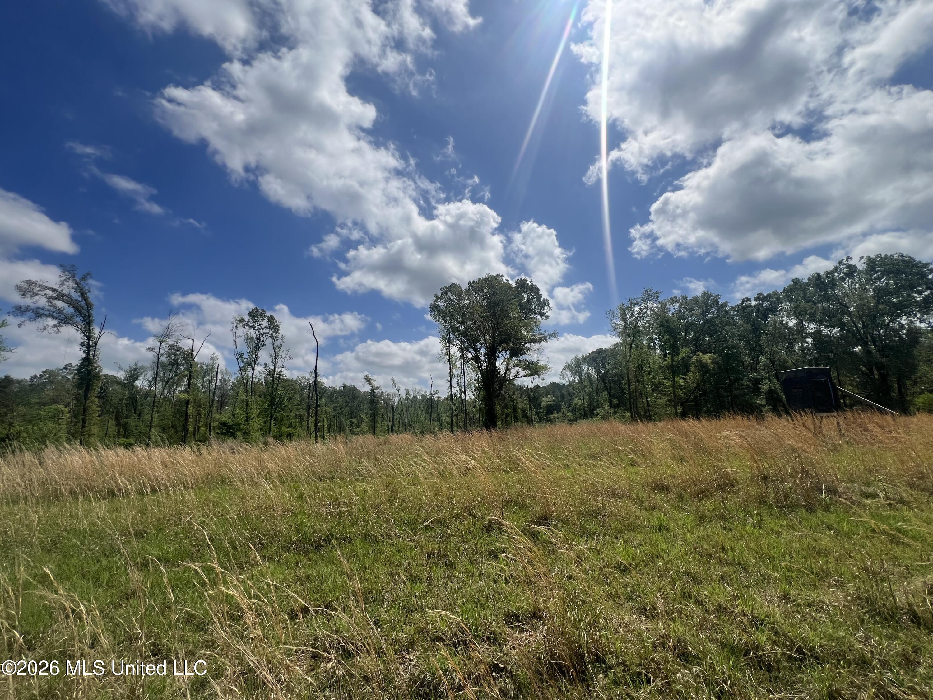 0 Stevens Road Yazoo City, MS 39194 - Photo 7 of 8 IMG_0943