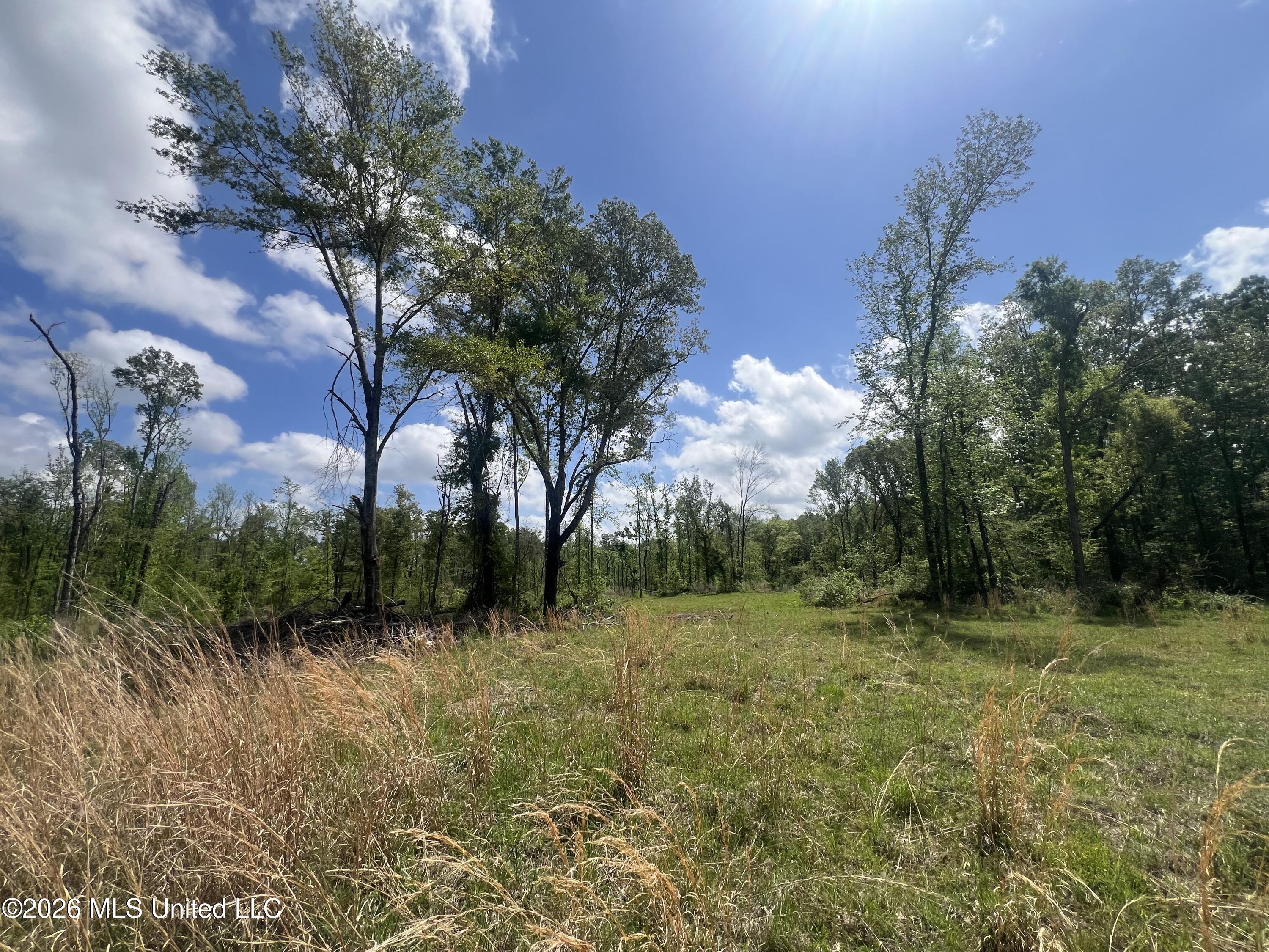 0 Stevens Road Yazoo City, MS 39194 - Photo 8 of 8 IMG_0945