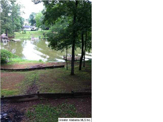 193 Coosa View Lane Riverside, AL 35135 - Photo 2 of 23