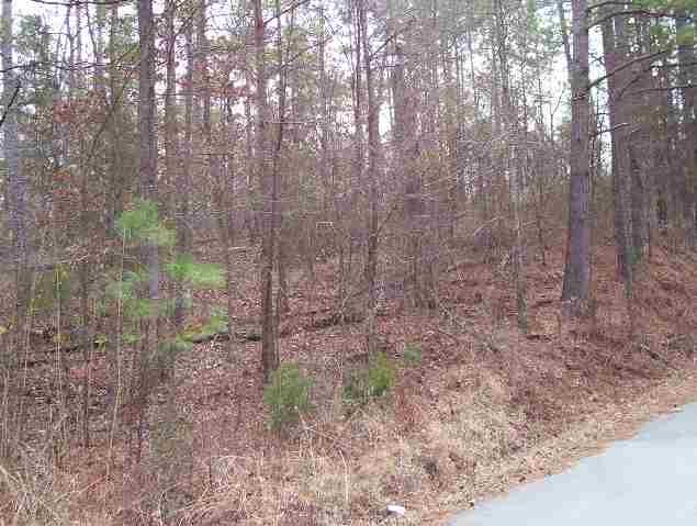 Lot 215 Barrett Waterloo, SC 29384 - Photo 1 of 2