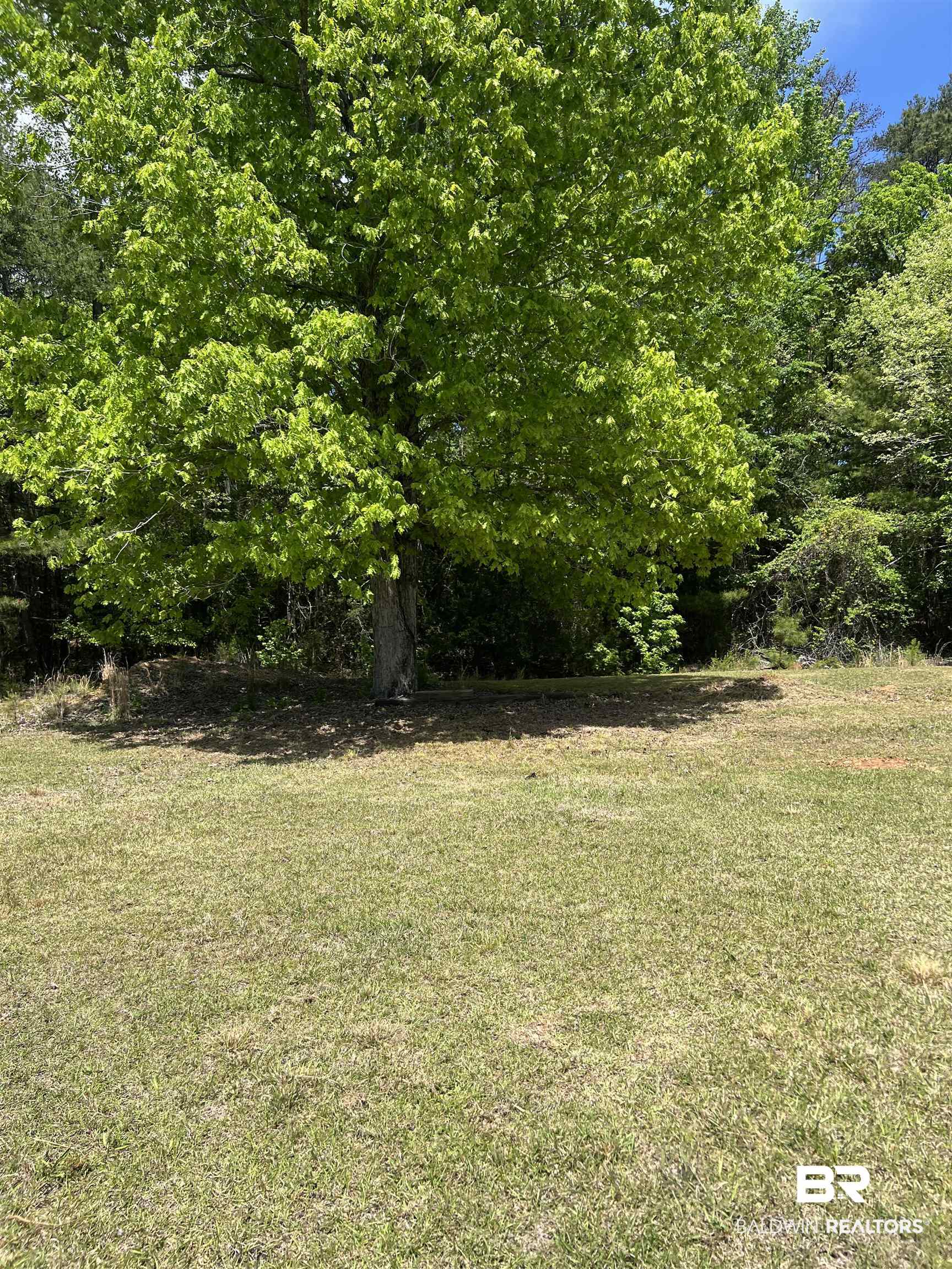 400 Godwin Drive Monroeville, AL 36460 - Photo 26 of 28