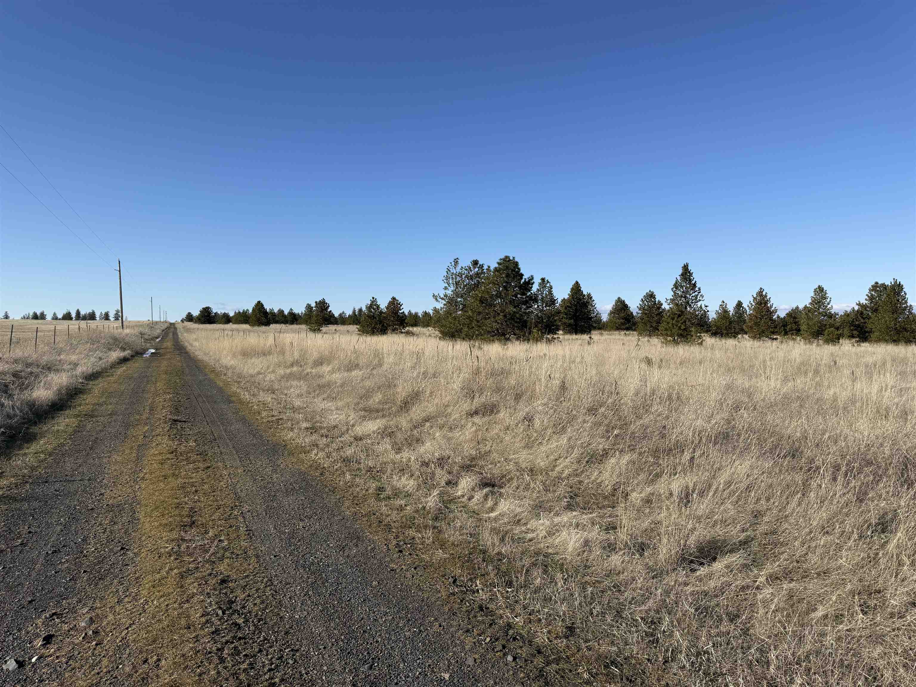 15211 North Wood Road Ford, WA 99013 - Photo 25 of 36