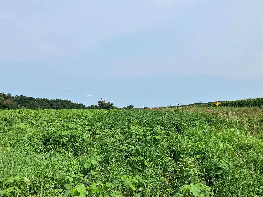 0 Pilgrim Road Dixon, IL 61021 - Photo 10 of 20 Gallery Image 10