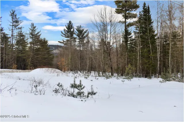 $79,500 | L88 Highview Lane, Unit LOT 4, North Creek, NY 12853