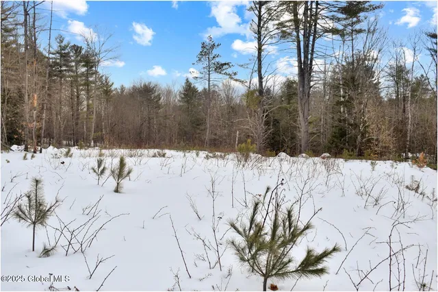 $79,500 | L88 Highview Lane, Unit LOT 4, North Creek, NY 12853