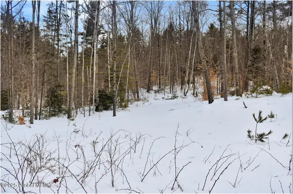 $79,500 | L88 Highview Lane, Unit LOT 4, North Creek, NY 12853