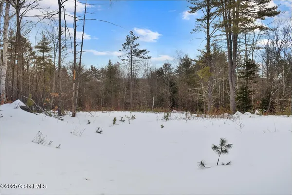 $79,500 | L88 Highview Lane, Unit LOT 4, North Creek, NY 12853
