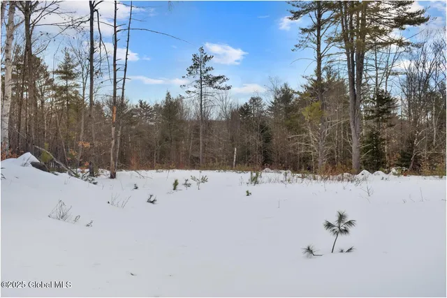 $79,500 | L88 Highview Lane, Unit LOT 4, North Creek, NY 12853