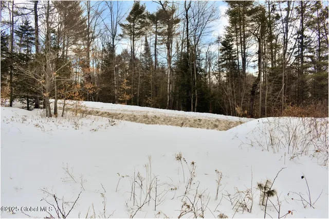 $79,500 | L88 Highview Lane, Unit LOT 4, North Creek, NY 12853