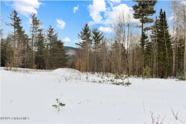 $79,500 | L88 Highview Lane, Unit LOT 4, North Creek, NY 12853