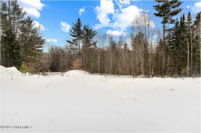 $79,500 | L88 Highview Lane, Unit LOT 4, North Creek, NY 12853