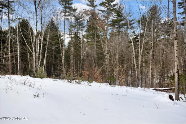 $79,500 | L88 Highview Lane, Unit LOT 4, North Creek, NY 12853