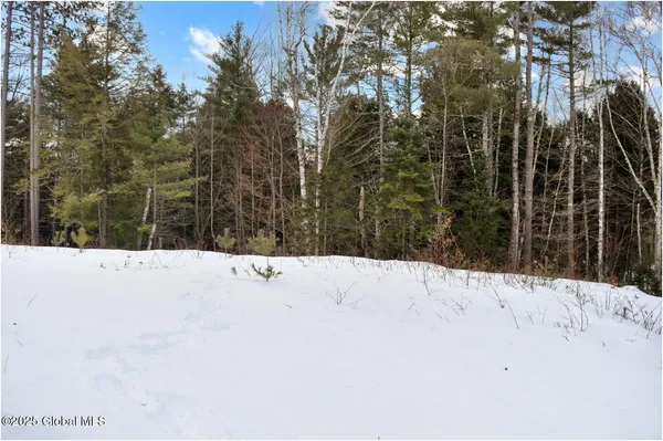$79,500 | L88 Highview Lane, Unit LOT 4, North Creek, NY 12853
