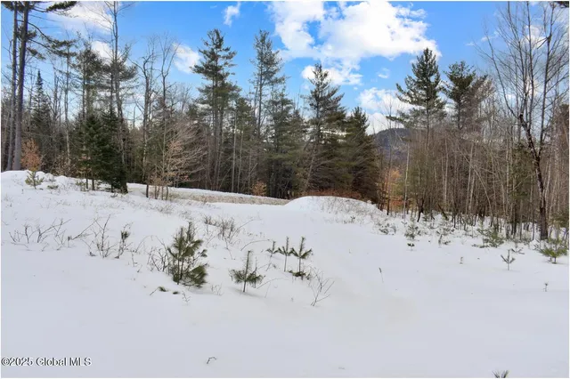 $79,500 | L88 Highview Lane, Unit LOT 4, North Creek, NY 12853