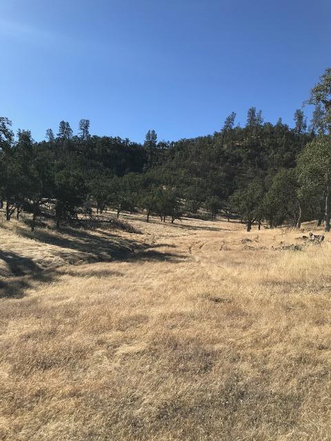9068 Straight Arrow Road Igo, CA 96047 - Photo 2 of 26 a view of ocean view
