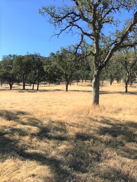 9068 Straight Arrow Road Igo, CA 96047 - Photo 10 of 26 a view of an ocean and beach
