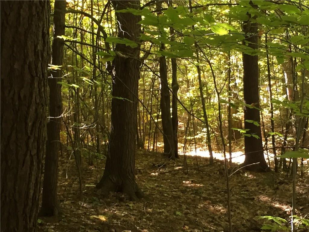 29-lot B) Pleasant Valley Road Cumberland Center, ME 04021 - Photo 4 of 11 Mixed forest community, with varying...