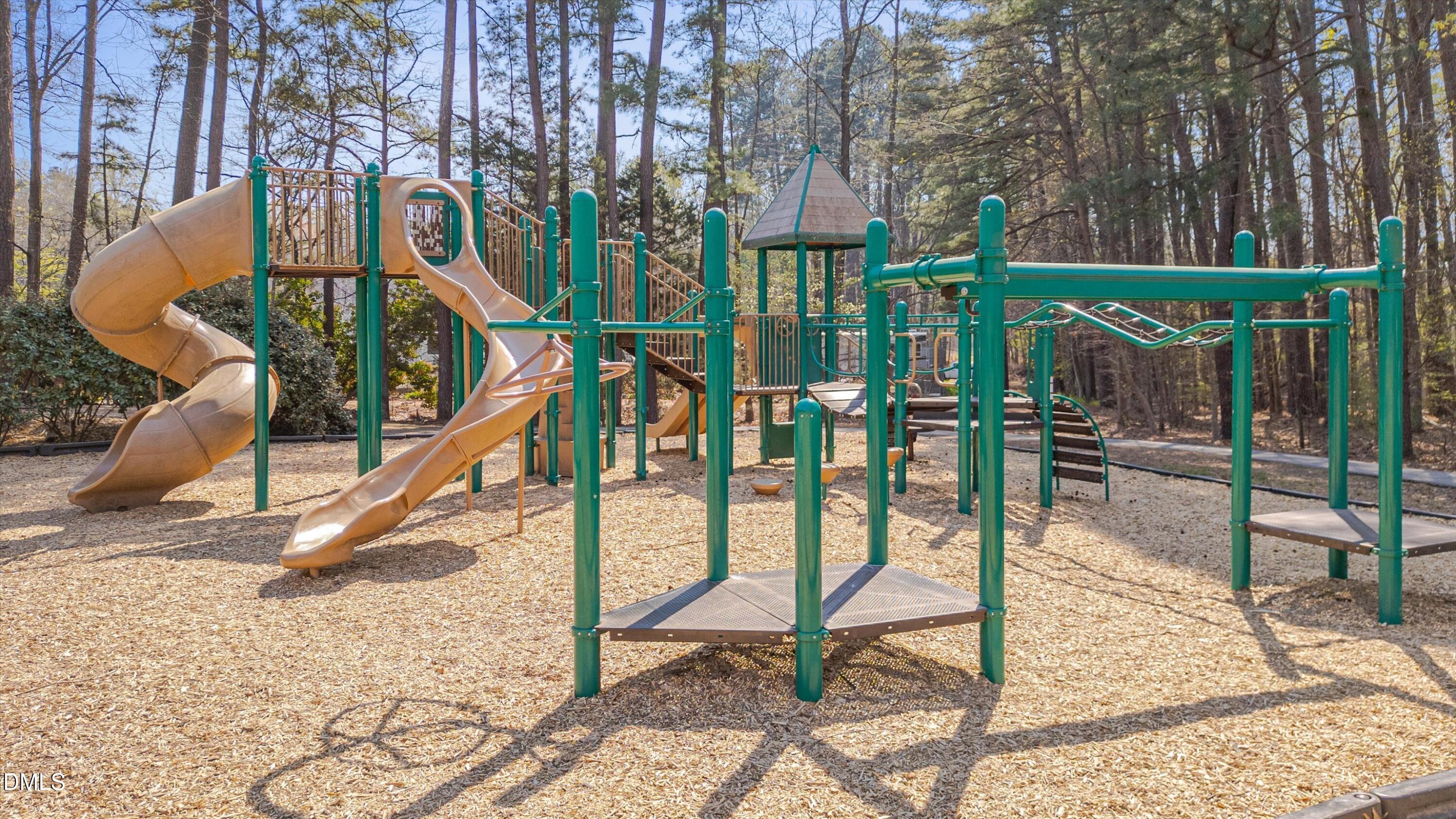 3 Preakness Drive Durham, NC 27713 - Photo 55 of 62 a view of a slide