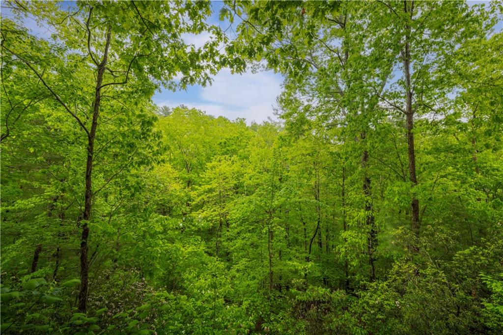 203 Mountain View Road Cherry Log, GA 30522 - Photo 27 of 32