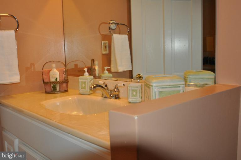 1471 Roxanna Road Northwest Washington, DC 20012 - Photo 19 of 28 Lower Level Bath
