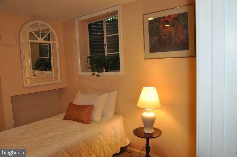 1471 Roxanna Road Northwest Washington, DC 20012 - Photo 24 of 28 Lower Level Bedroom