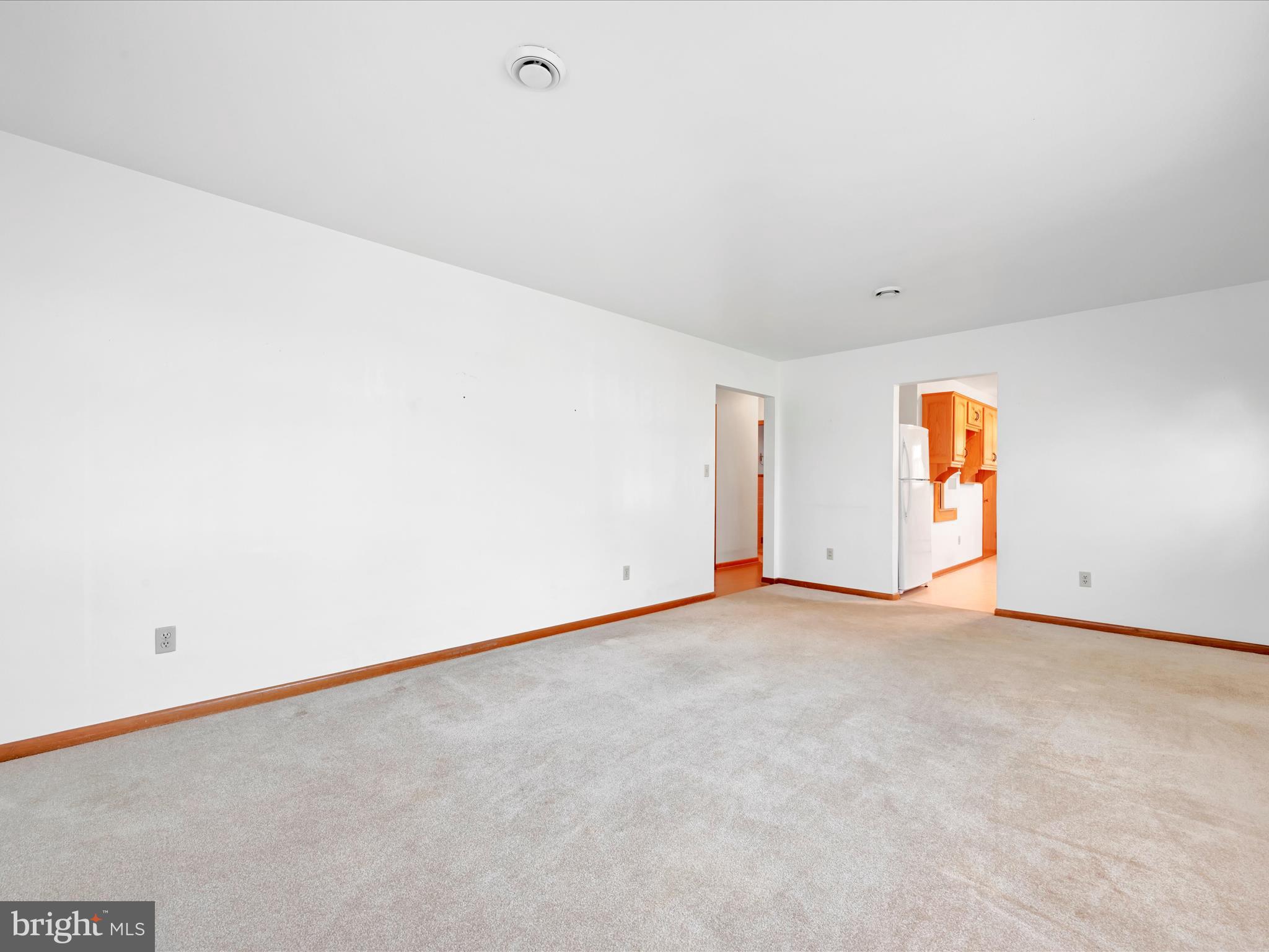 14 Runyon Road Hummelstown, PA 17036 - Photo 6 of 25 Living Room