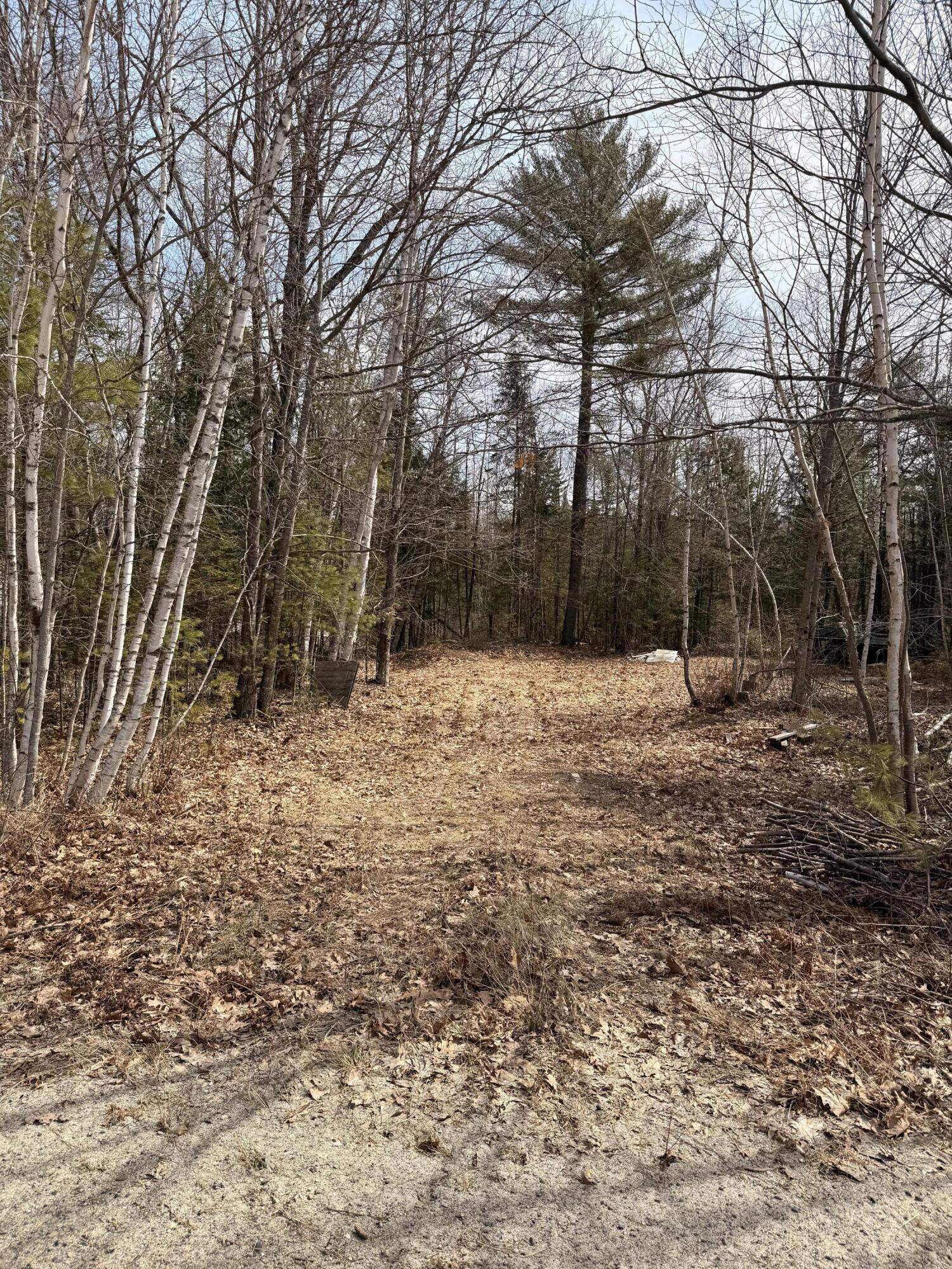 Lot #6 Mohawk Road Enfield, ME 04493 - Photo 3 of 7 IMG_0432