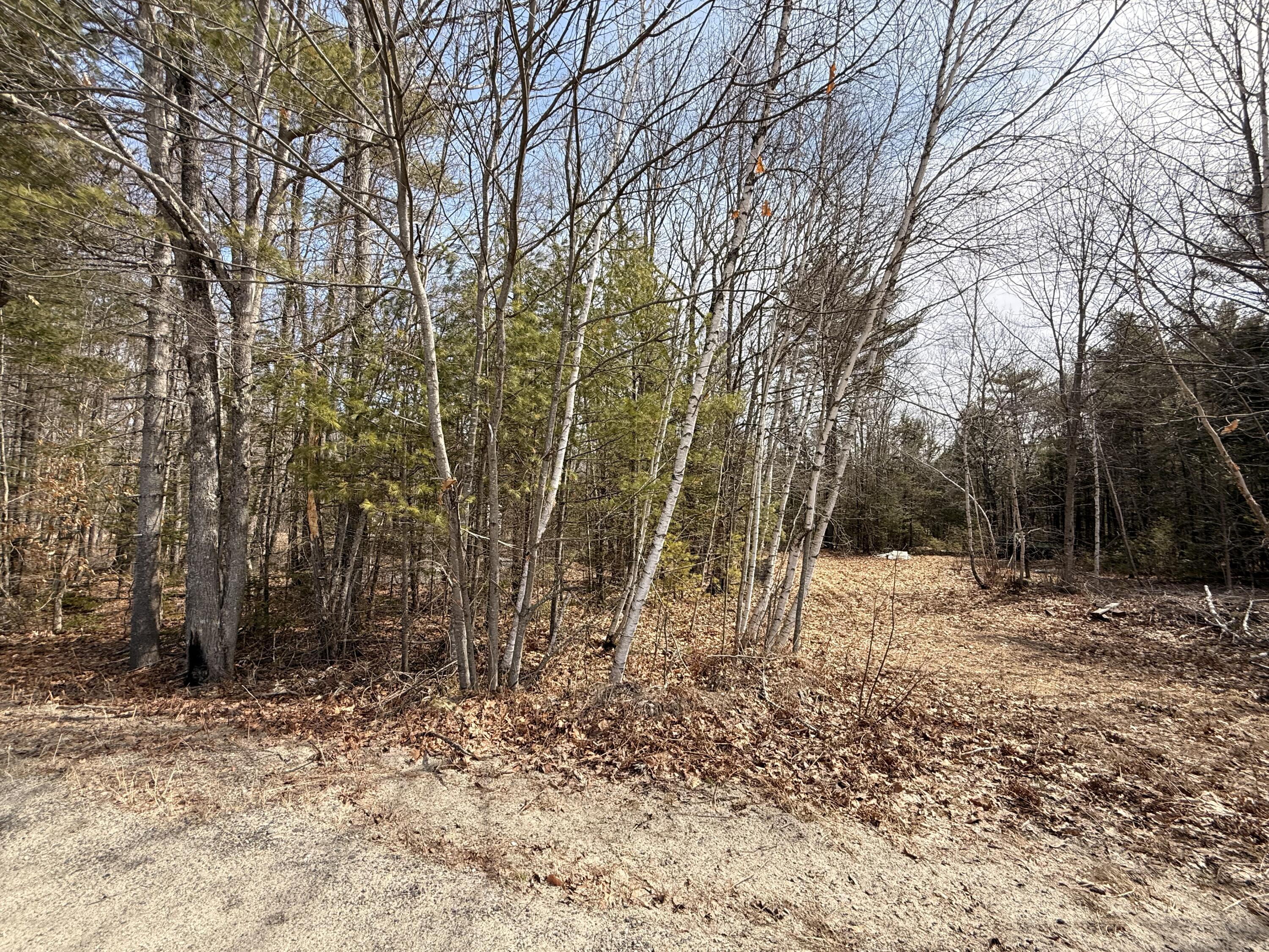 Lot #6 Mohawk Road Enfield, ME 04493 - Photo 4 of 7 IMG_0437