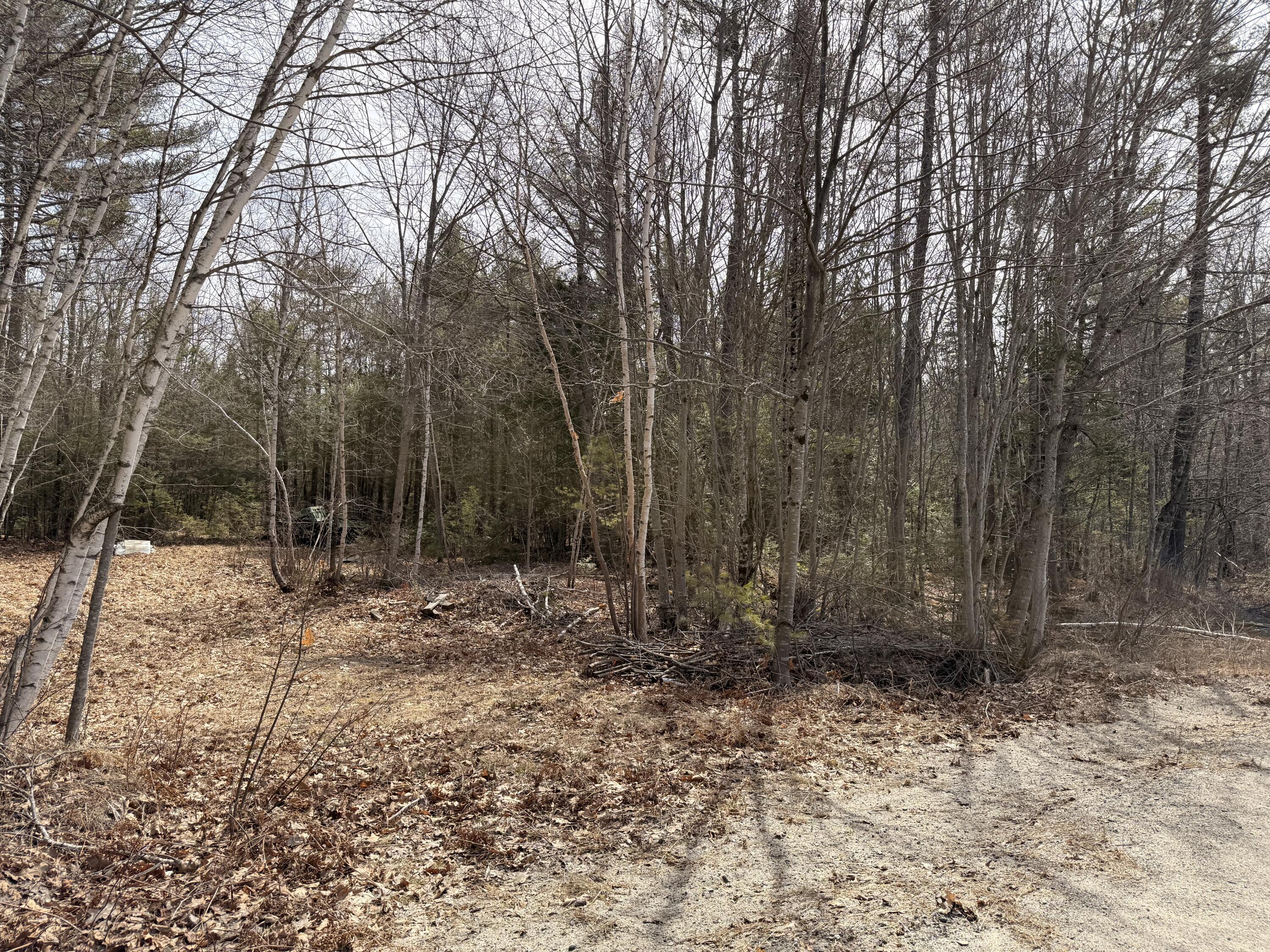 Lot #6 Mohawk Road Enfield, ME 04493 - Photo 5 of 7 IMG_0436
