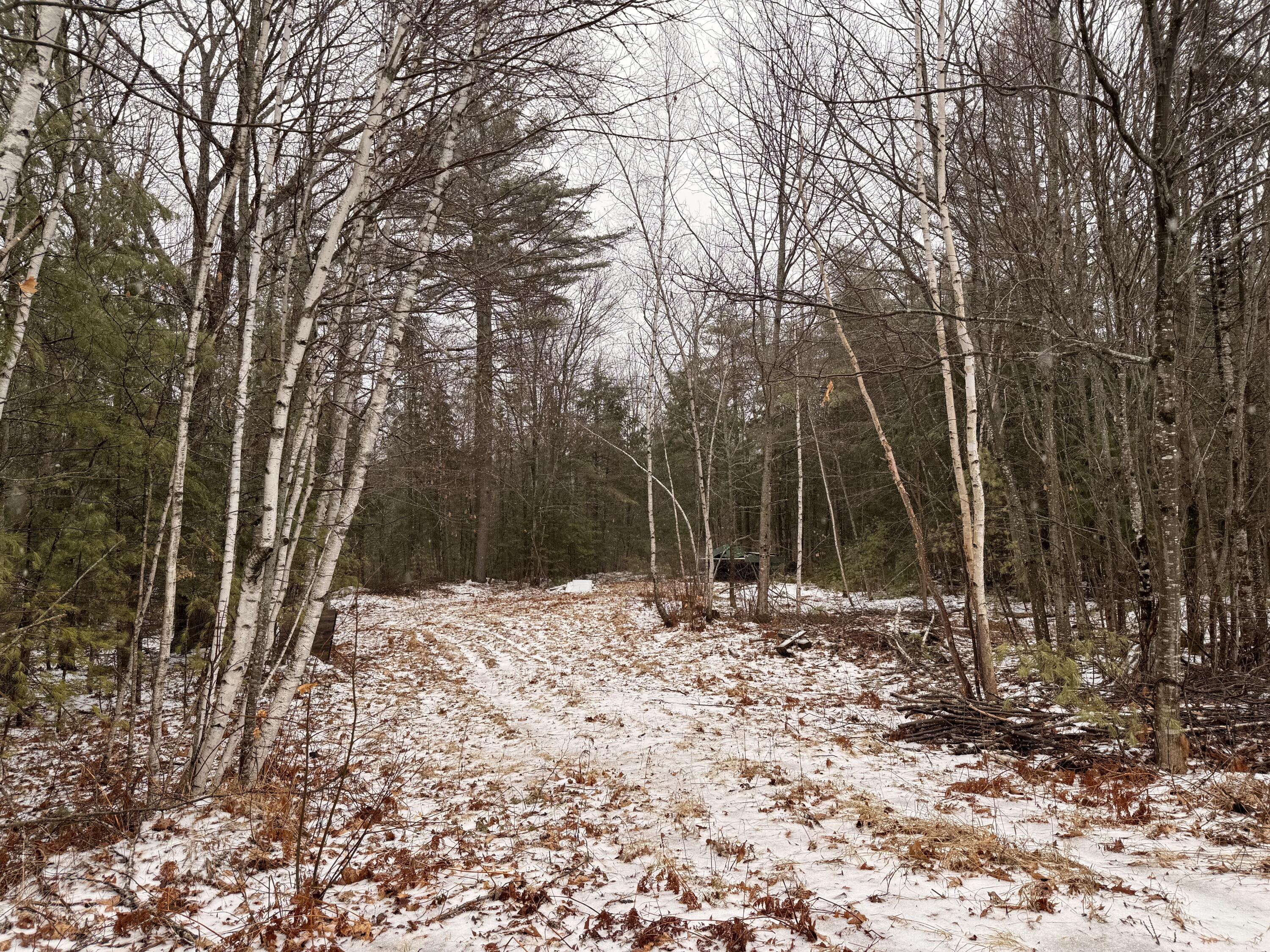 Lot #6 Mohawk Road Enfield, ME 04493 - Photo 6 of 7 IMG_0294
