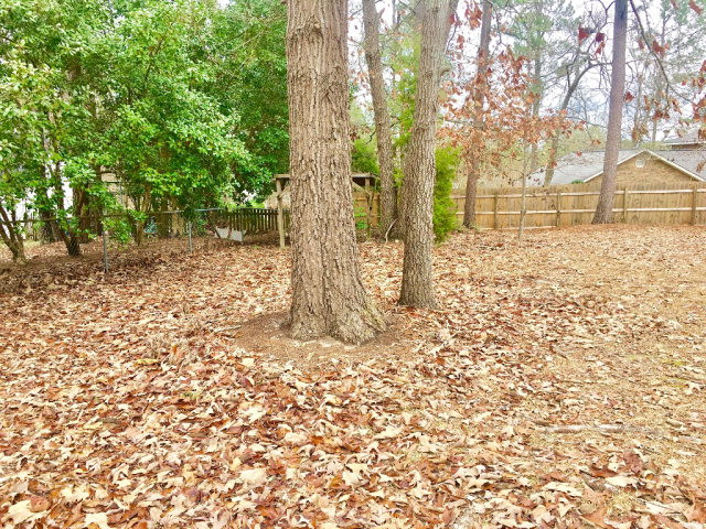 1504 Pine Log Road Aiken, SC 29803 - Photo 17 of 20 Gallery Image 17